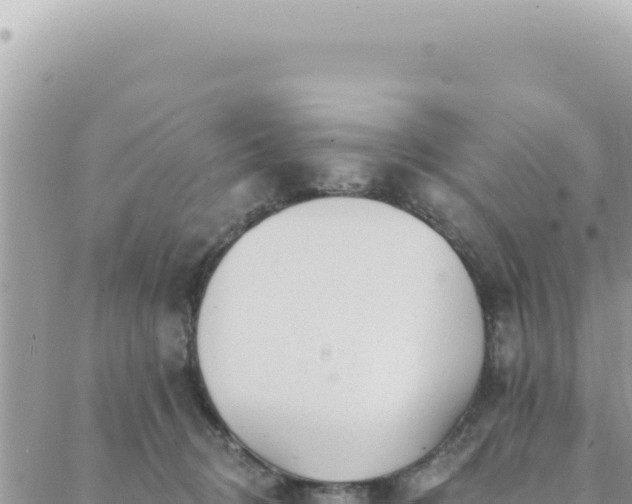 X0000088610370200706011233