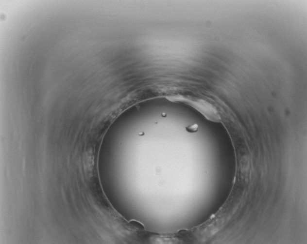 X0000088610372200706011233