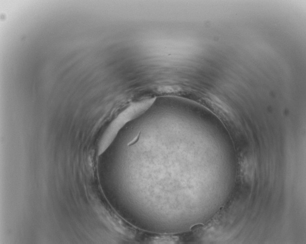 X0000088610373200706011233