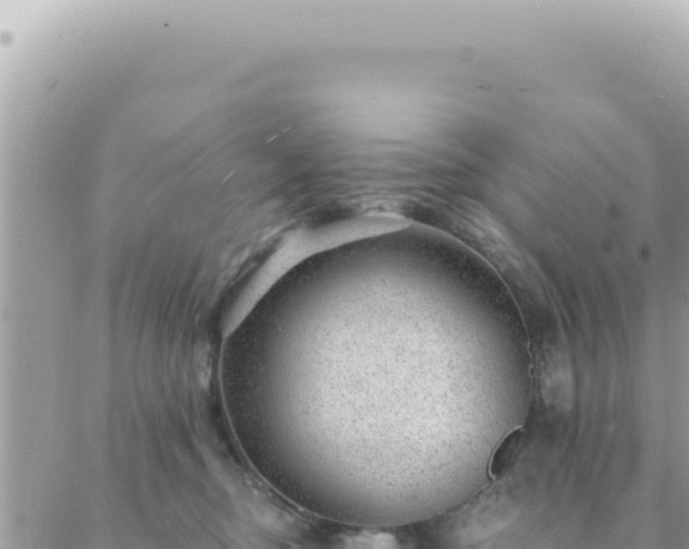 X0000088610374200706011233