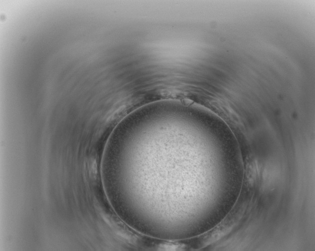 X0000088610375200706011233