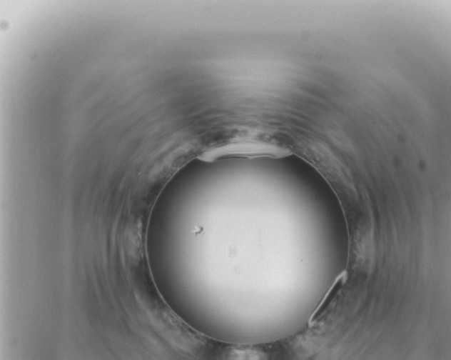 X0000088610376200706011233