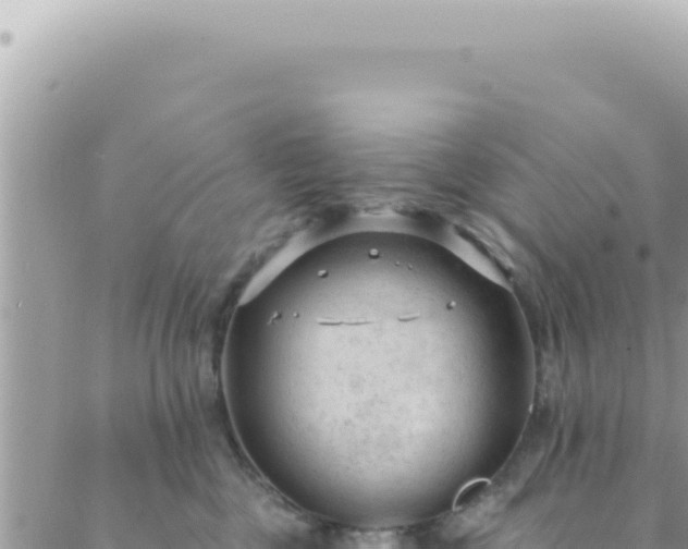 X0000088610377200706011233