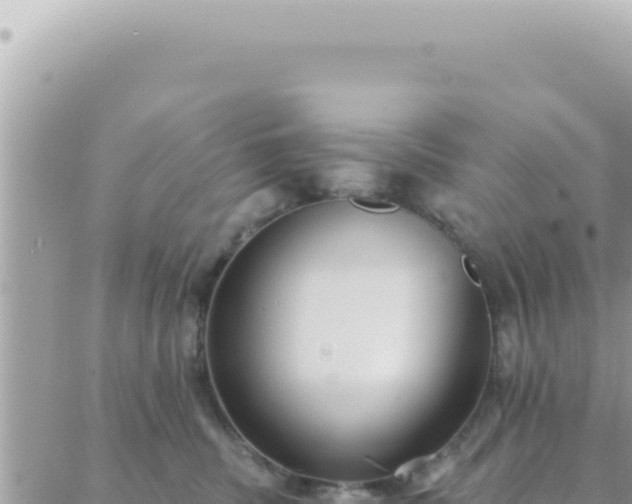 X0000088610379200706011233