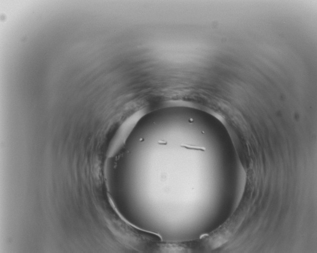 X0000088610380200706011234