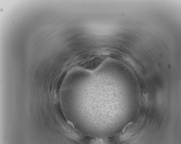 X0000088610381200706011234