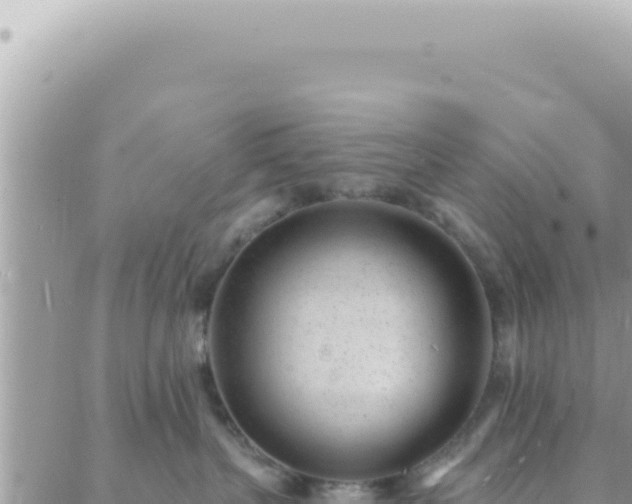 X0000088610383200706011234