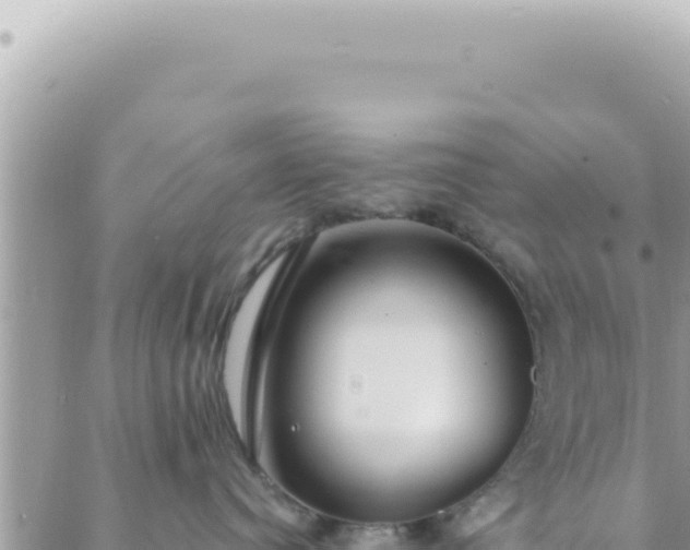 X0000088610384200706011234