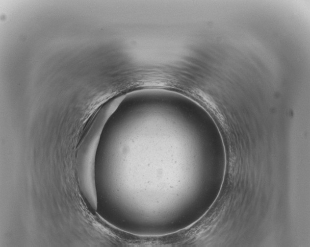 X0000088610385200706011233