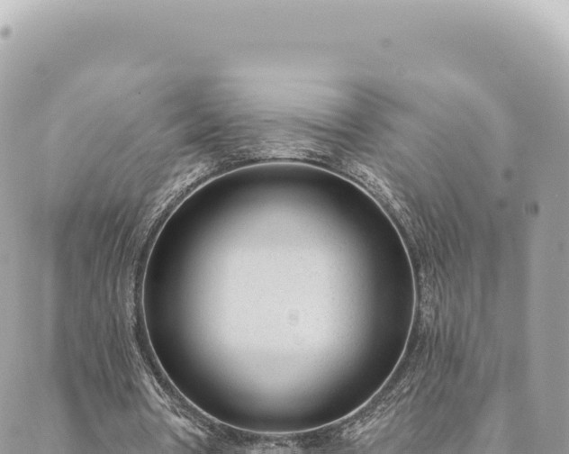 X0000088610386200706011233