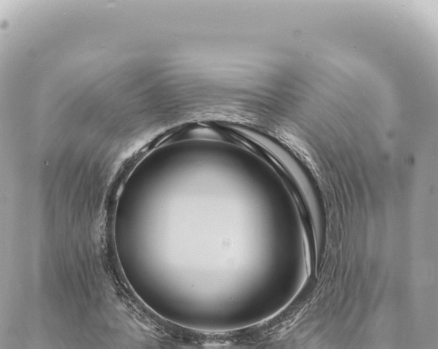 X0000088610388200706011233