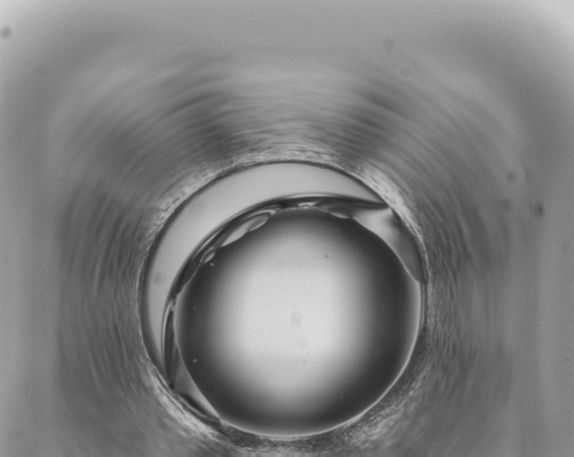 X0000088610389200706011233