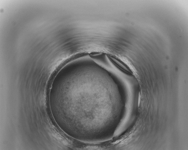 X0000088610391200706011233