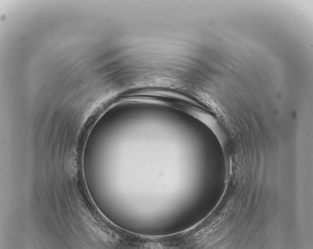 X0000088610392200706011233