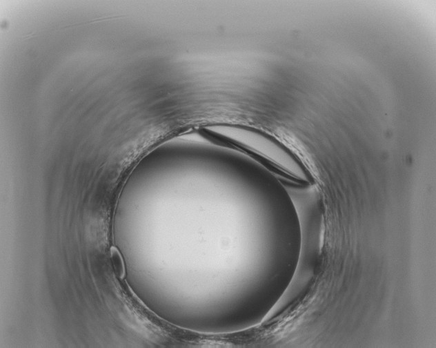 X0000088610393200706011233