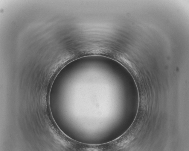 X0000088610394200706011233