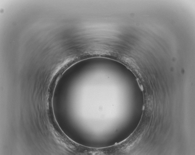 X0000088610395200706011233