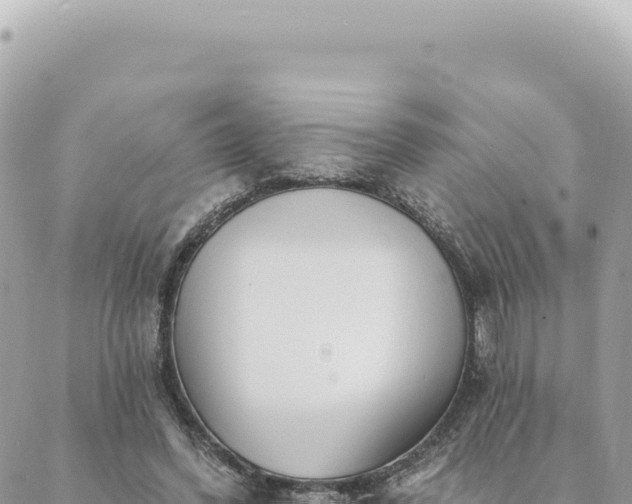 X0000088610396200706011233