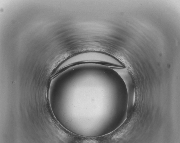 X0000088610397200706011233