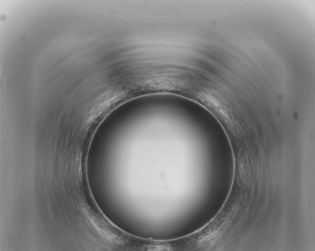 X0000088610398200706011233