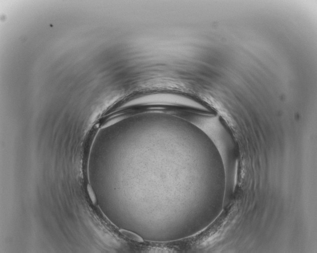 X0000088610399200706011233