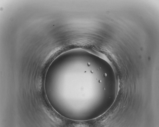 X0000088610400200706011233