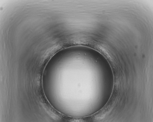 X0000088610402200706011233