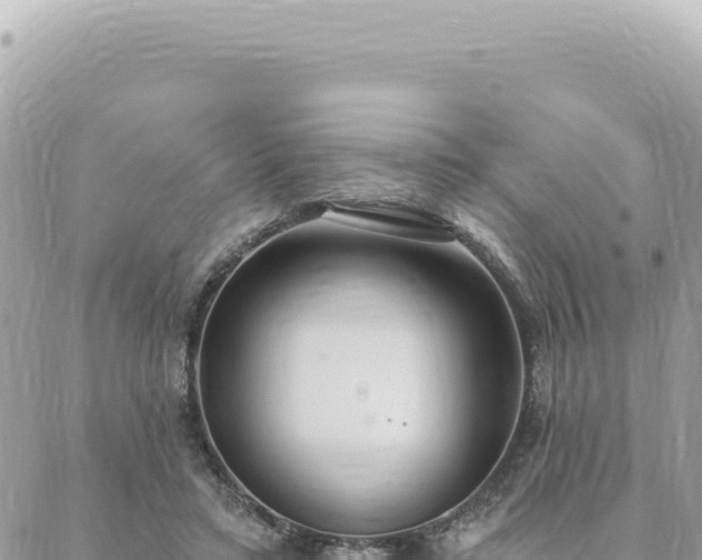 X0000088610403200706011233