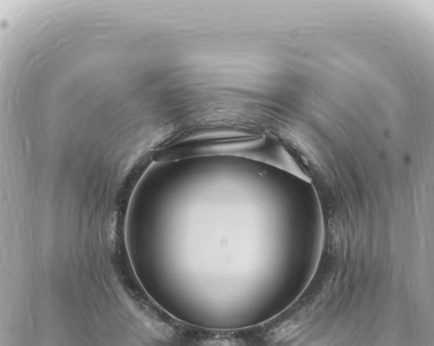 X0000088610404200706011232