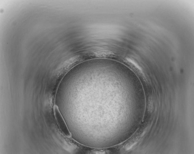 X0000088610405200706011232