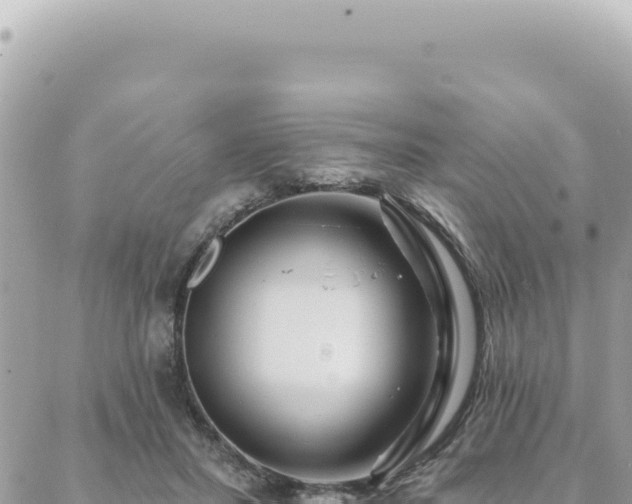 X0000088610407200706011232