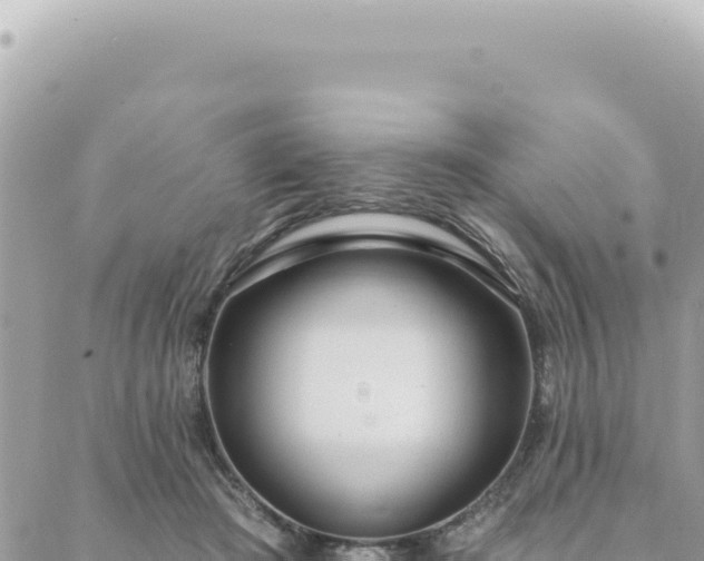 X0000088610409200706011232