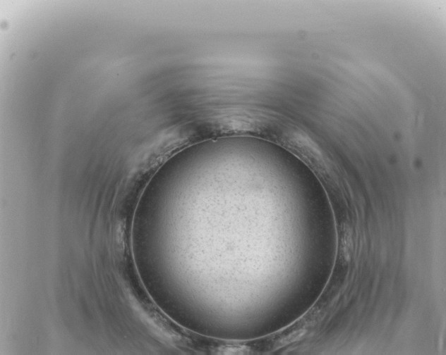 X0000088610410200706011232