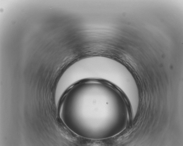 X0000088610412200706011232