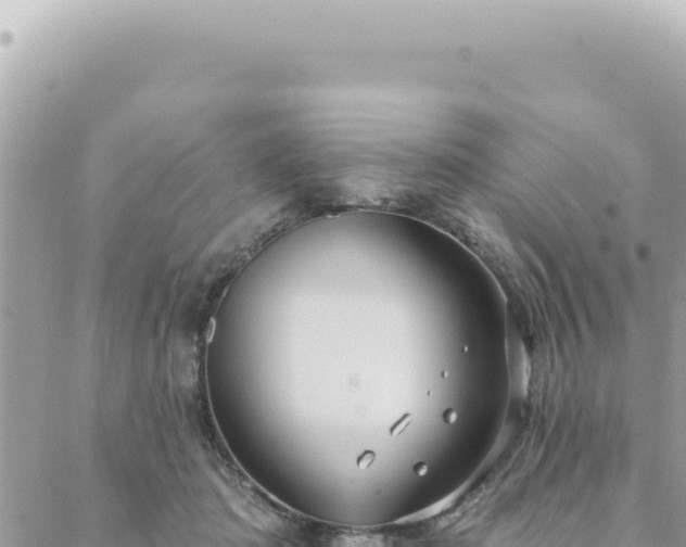 X0000088610413200706011232