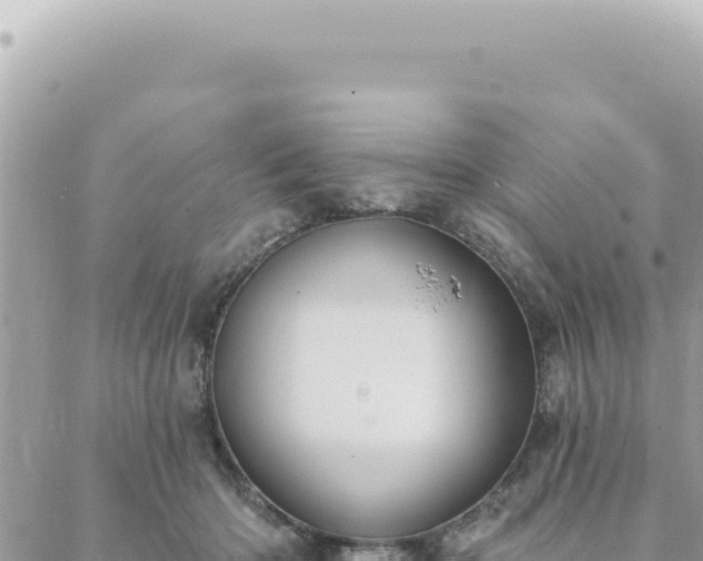 X0000088610414200706011232