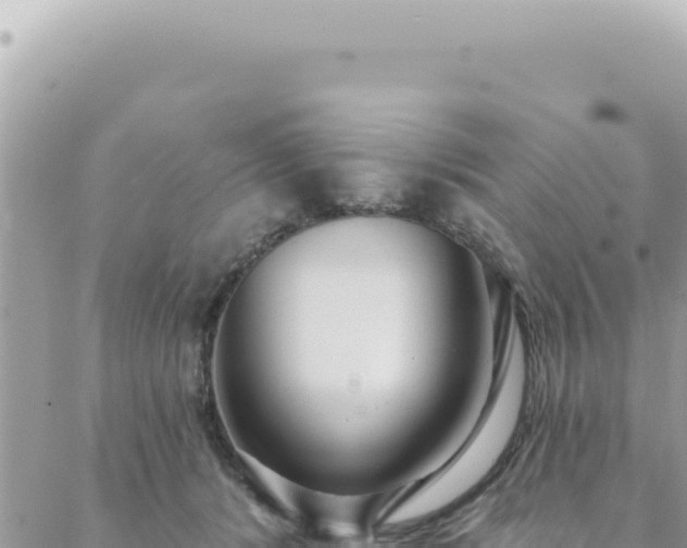 X0000088610416200706011232