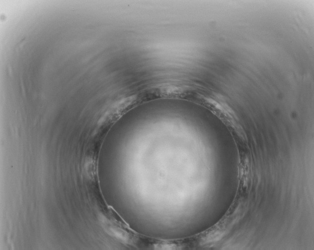 X0000088610419200706011232