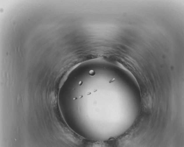 X0000088610420200706011232