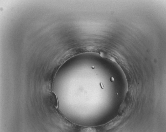 X0000088610421200706011232