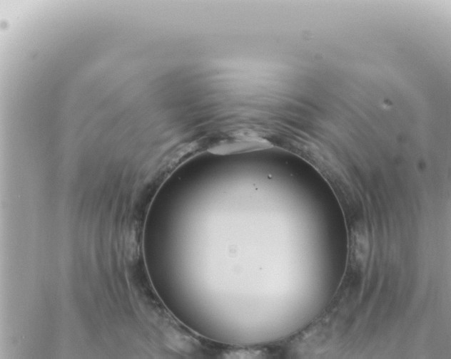 X0000088610422200706011232