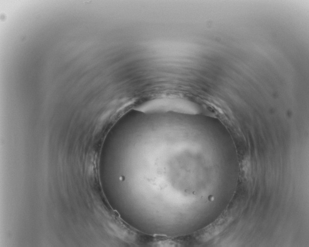 X0000088610423200706011232