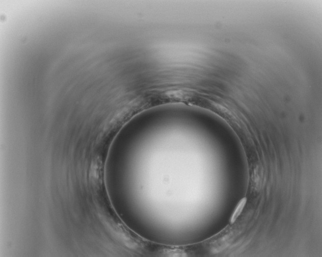 X0000088610424200706011232