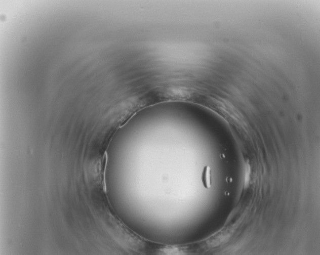 X0000088610425200706011232