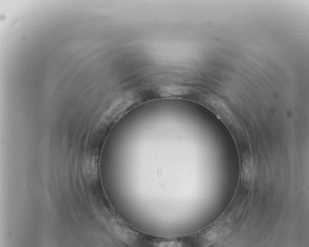 X0000088610426200706011232