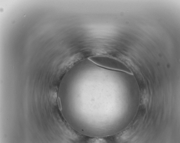 X0000088610427200706011232