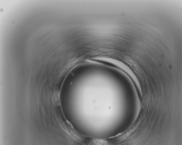 X0000088610429200706011232