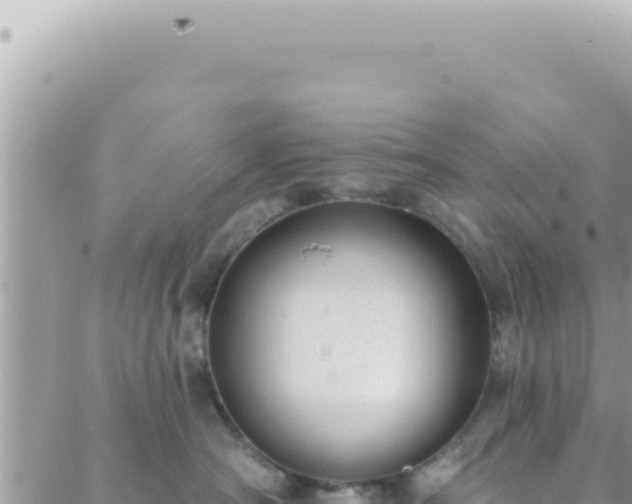 X0000088610430200706011232