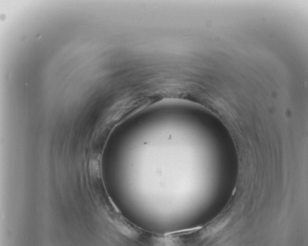 X0000088610432200706011232