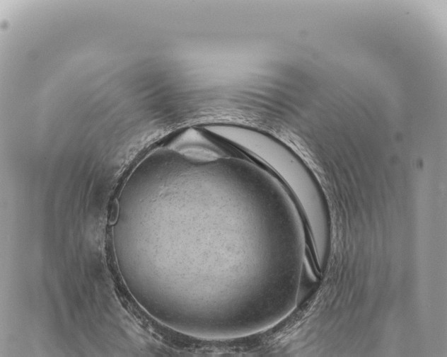 X0000088610434200706011231